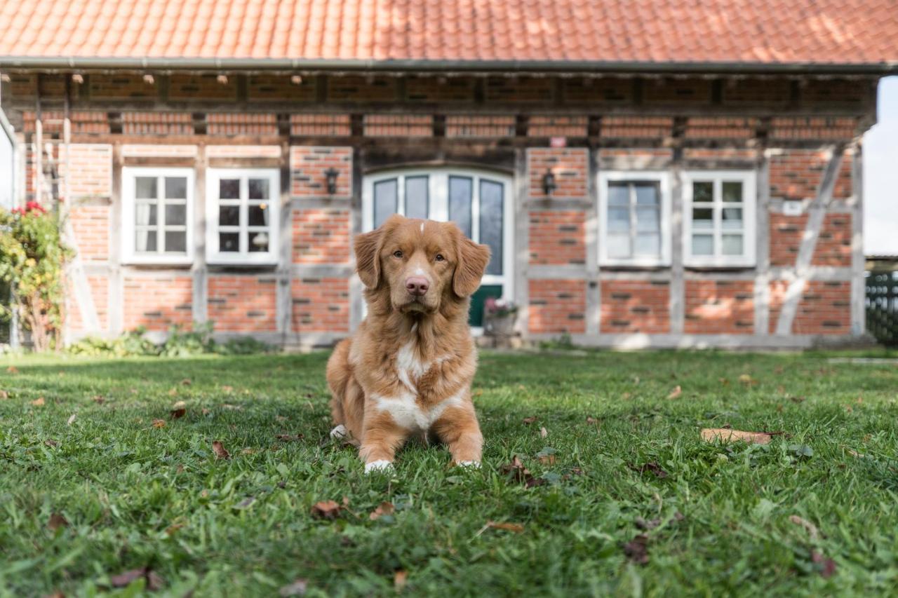 Villa Fachwerk-Ferienhaus, Ruhe auf dem Land, Haustiere willkommen, Leihfahrräder Kirchlinteln Exterior foto